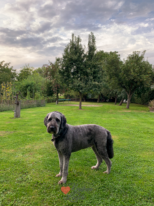 Een kijkje in de keuken week 38-2022