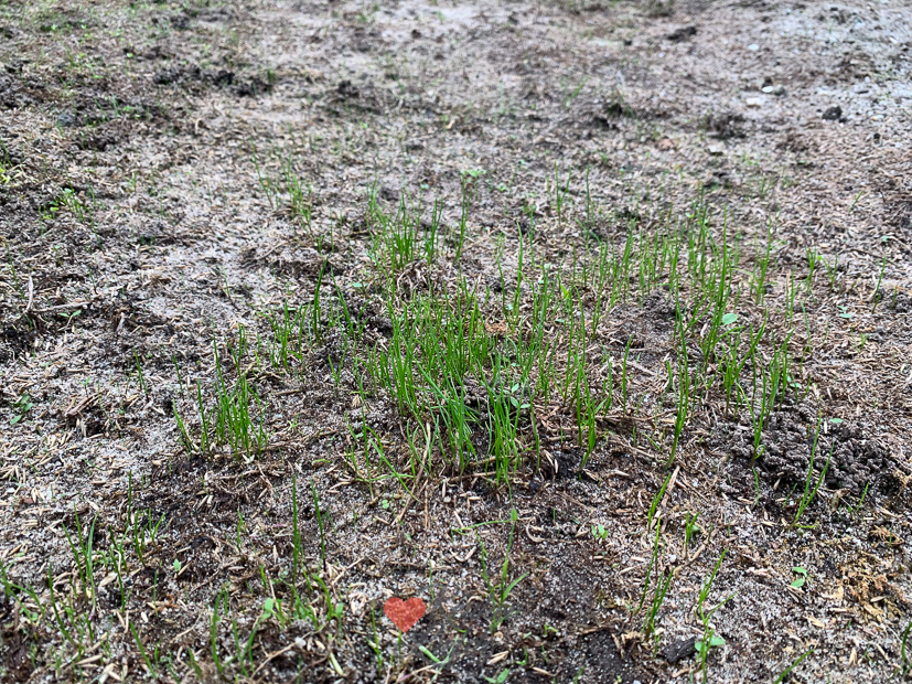 Een kijkje in de keuken week 38-2022