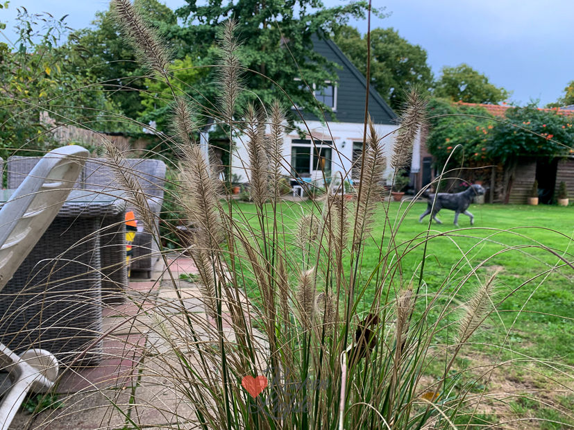 Een kijkje in de keuken week 38-2022