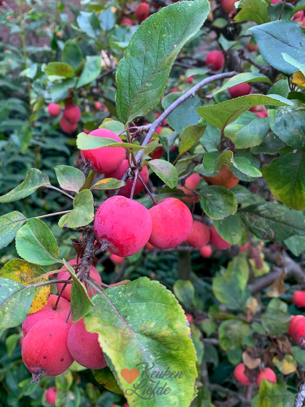 Een kijkje in de keuken week 38-2022