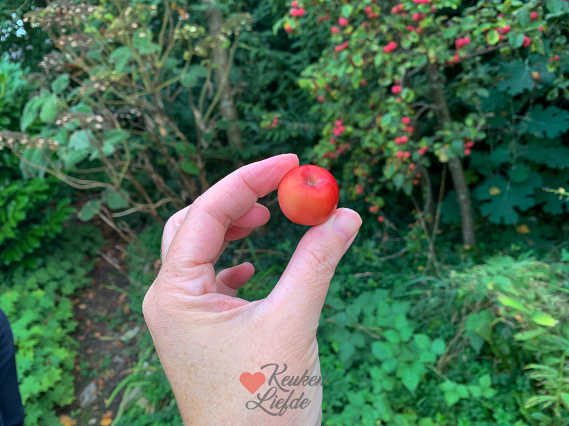 Een kijkje in de keuken week 38-2022