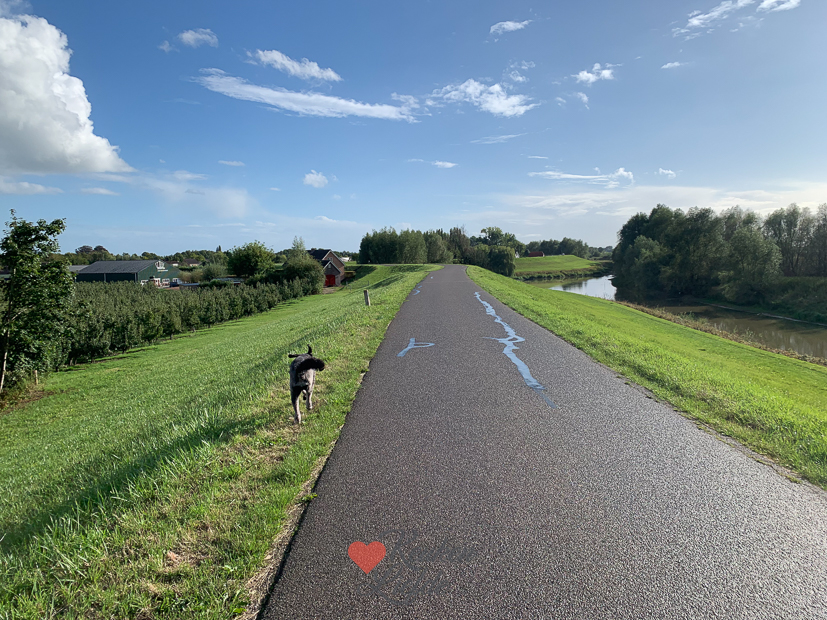 Een kijkje in de keuken week 38-2022