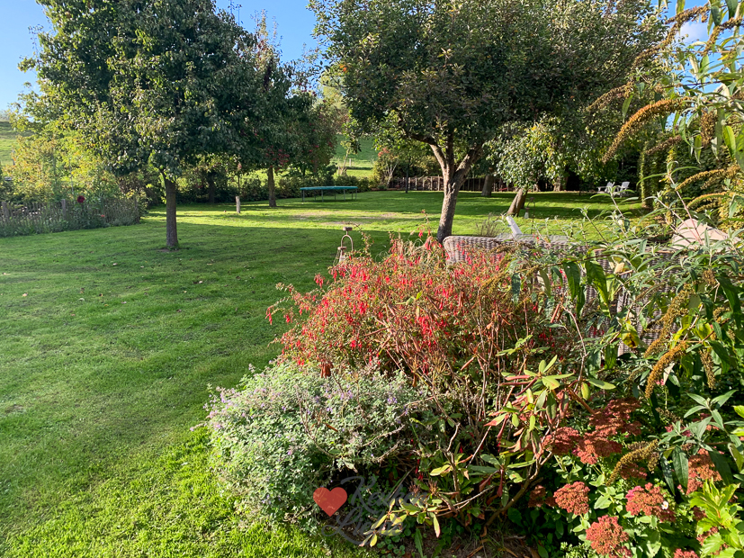 Een kijkje in de keuken week 41-2022