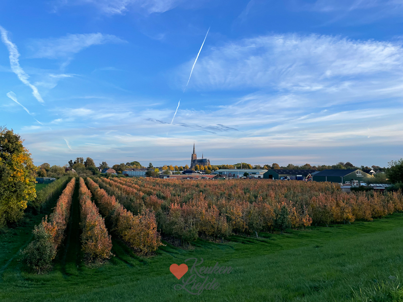 Een kijkje in de keuken week 43-2022