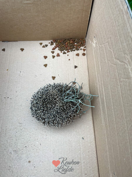 Een kijkje in de keuken week 43-2022