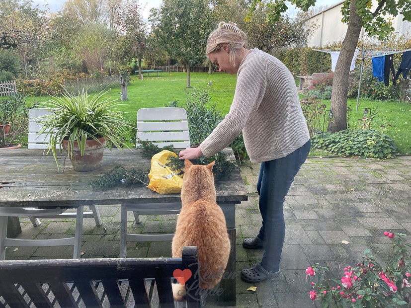 Een kijkje in de keuken week 45-2022