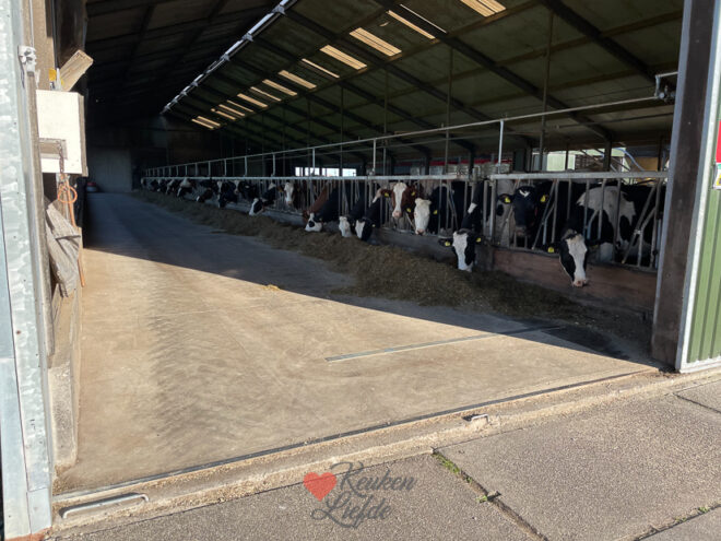 Een kijkje in de keuken week 46-2022