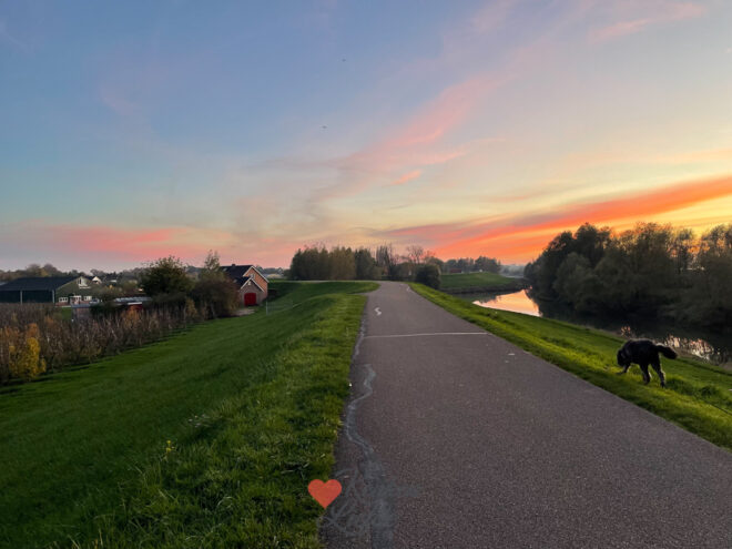 Een kijkje in de keuken week 46-2022