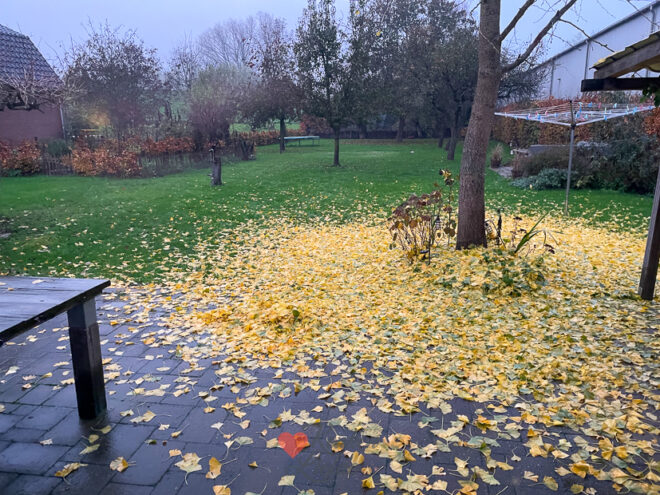 Een kijkje in de keuken week 47-2022