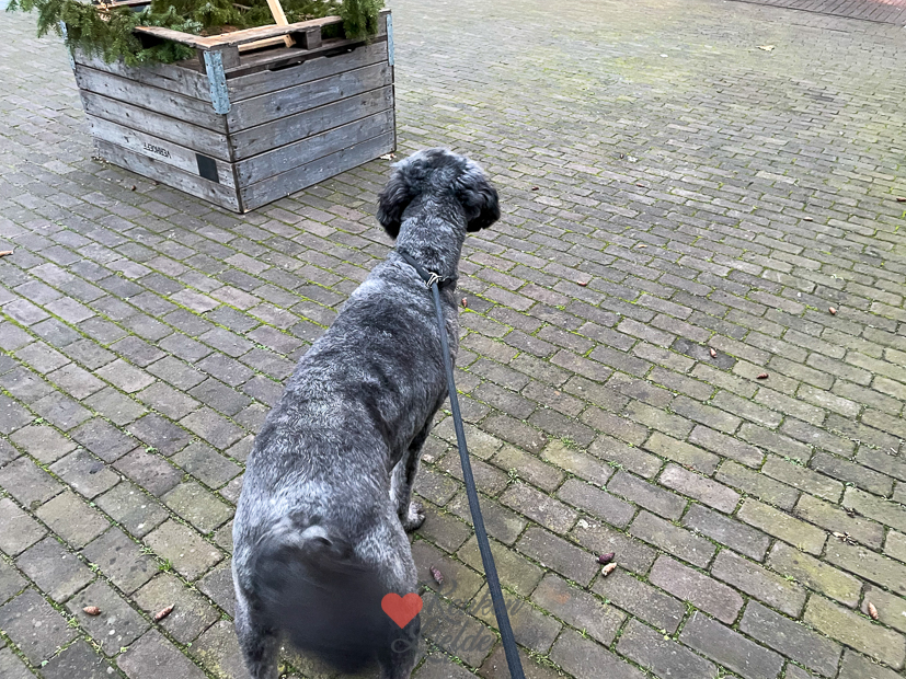 Een kijkje in de keuken week 50-2022