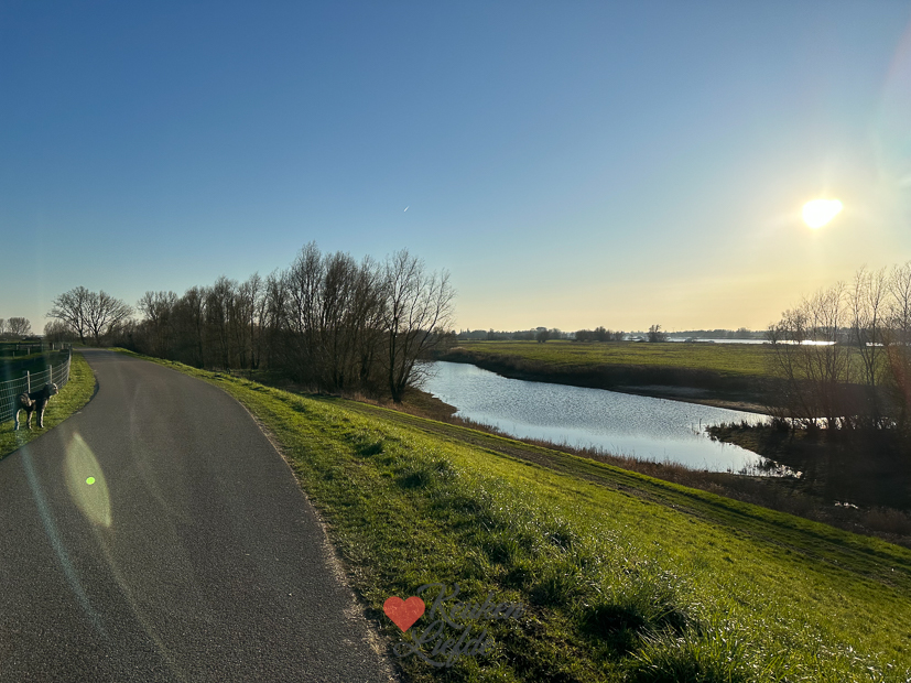 Een kijkje in de keuken week 10-2023
