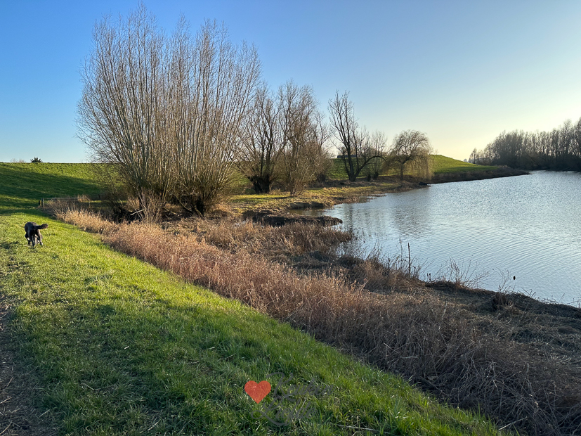 Een kijkje in de keuken week 10-2023