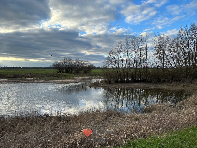Een kijkje in de keuken week 10-2023