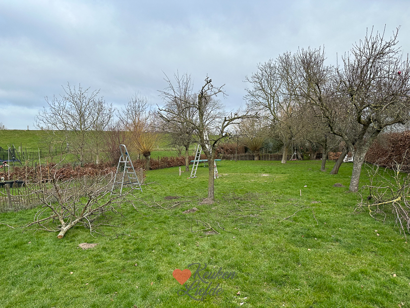 Een kijkje in de keuken week 10-2023