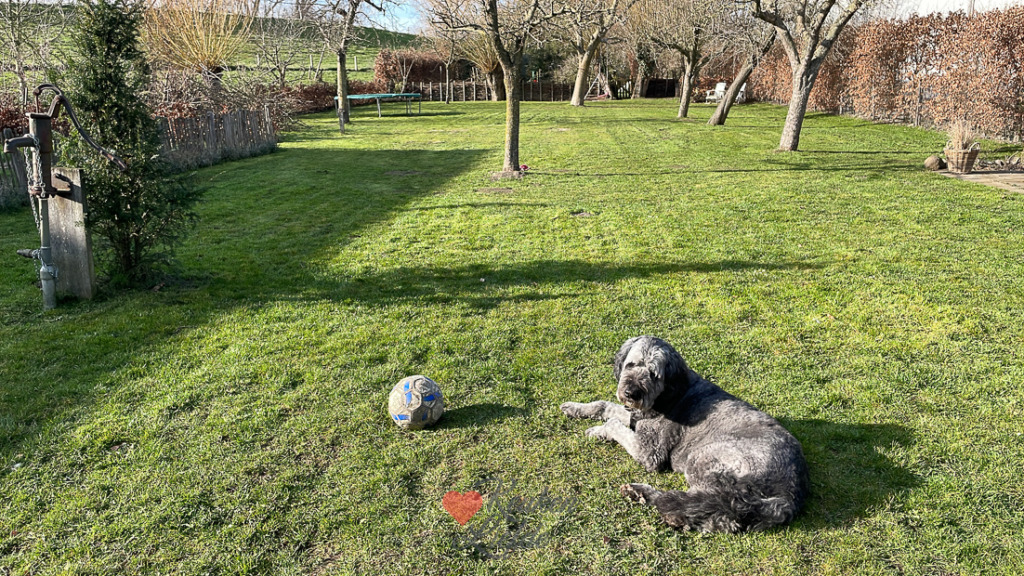 Een kijkje in de keuken week 12-2023