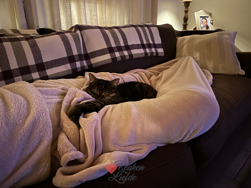 Een kijkje in de keuken week 12-2023