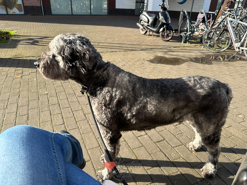 Een kijkje in de keuken week 13-2023