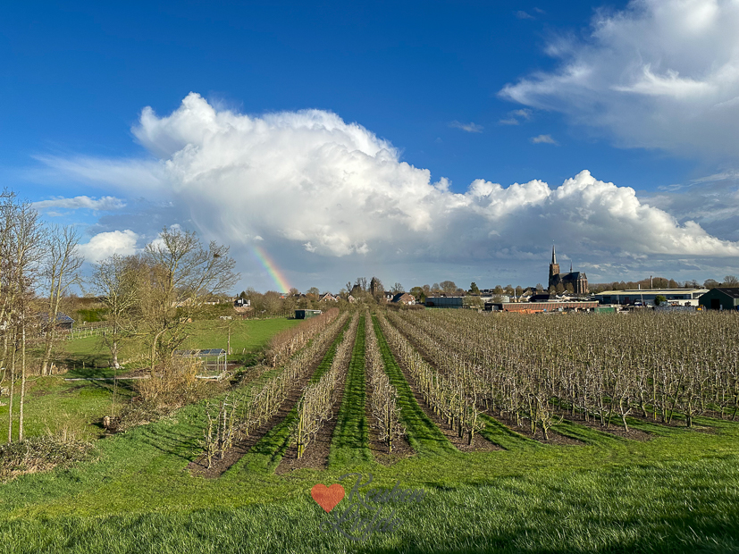 Een kijkje in de keuken week 13-2023