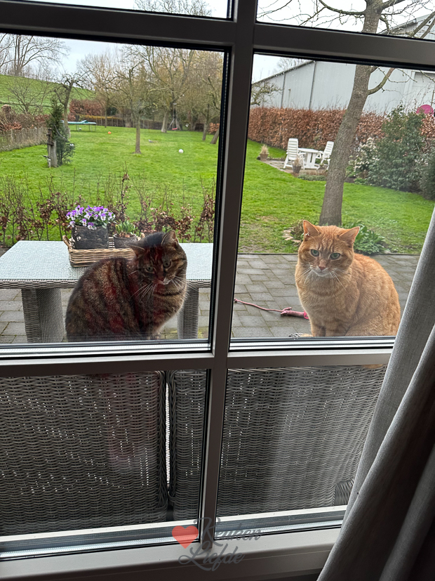 Een kijkje in de keuken week 13-2023