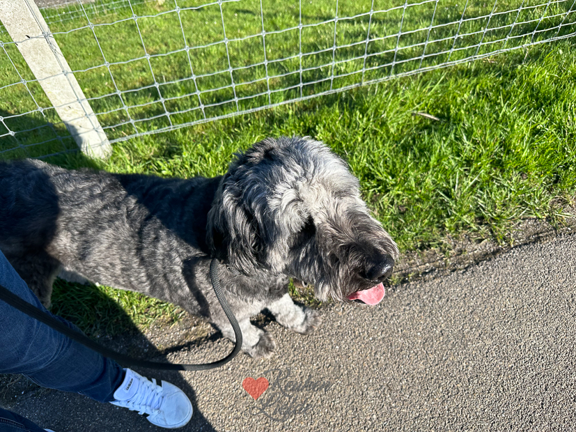 Een kijkje in de keuken week 14-2023