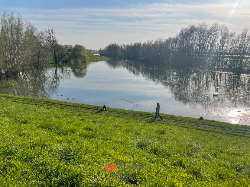 Een kijkje in de keuken week 15-2023
