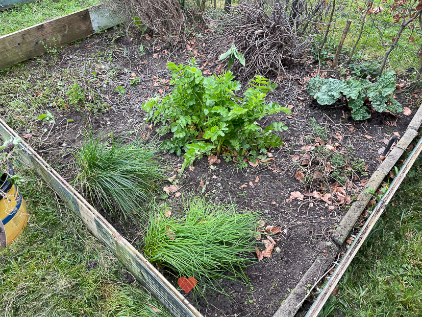 Een kijkje in de keuken week 15-2023