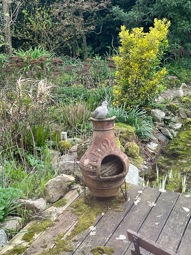 Een kijkje in de keuken week 16-2023 Een kijkje in de keuken week 16-2023