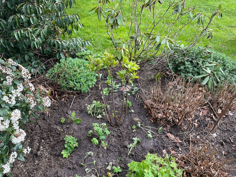 Een kijkje in de keuken week 16-2023 Een kijkje in de keuken week 16-2023