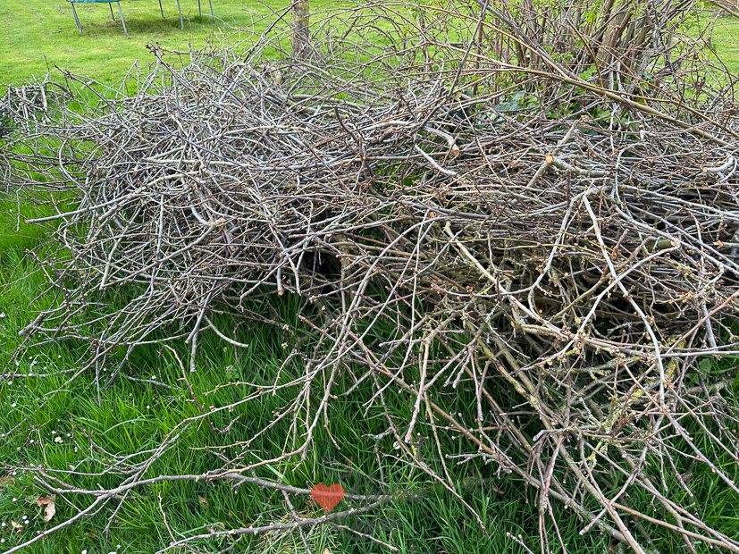 Een kijkje in de keuken week 17-2023