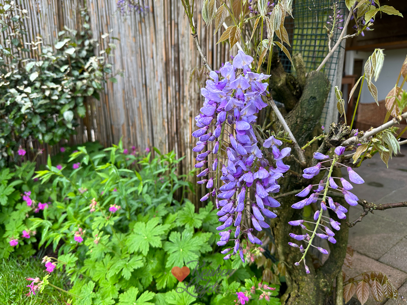 Een kijkje in de keuken week 20-2023