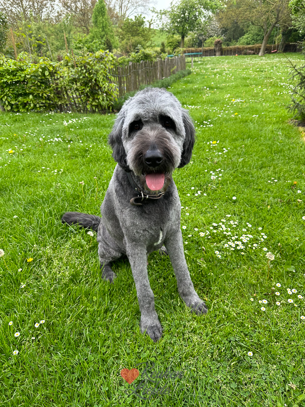 Een kijkje in de keuken week 20-2023