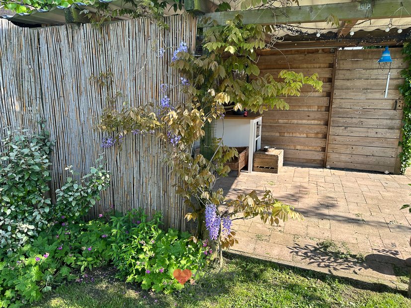 Een kijkje in de keuken week 20-2023