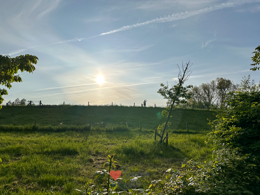 Een kijkje in de keuken week 21-2023
