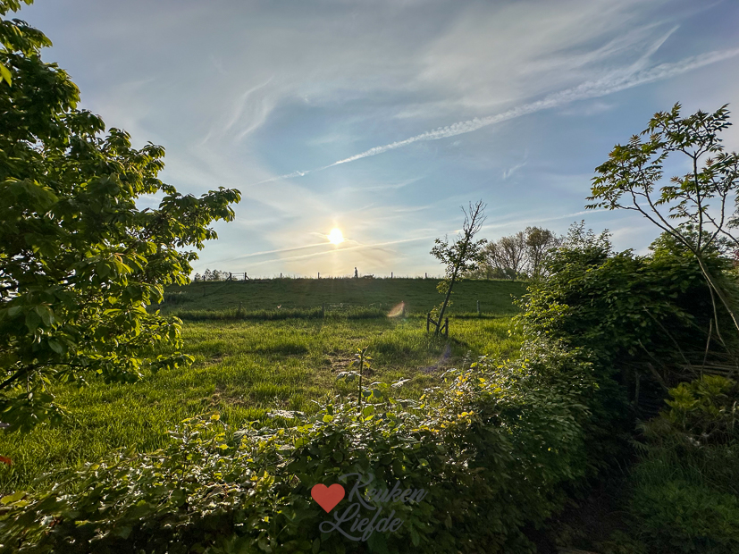 Een kijkje in de keuken week 21-2023