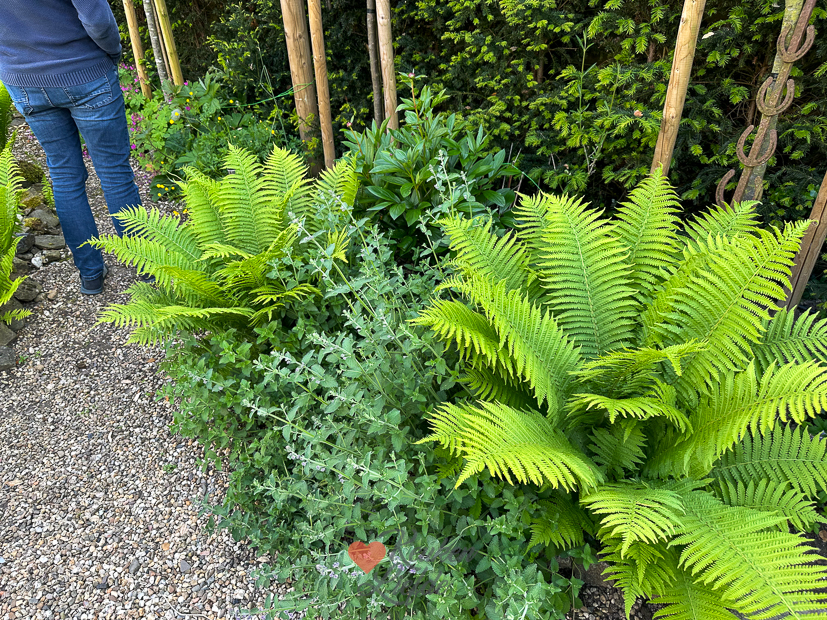 Een kijkje in de keuken week 21-2023