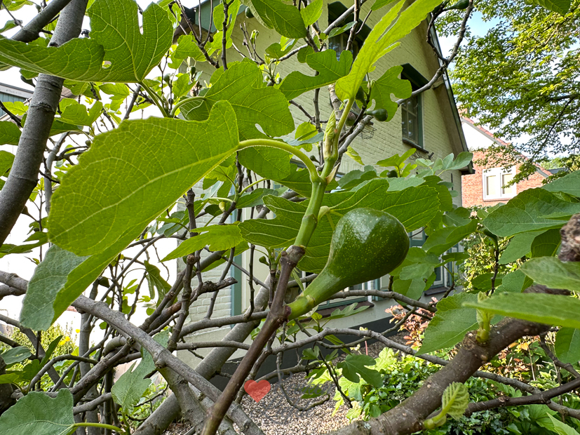Een kijkje in de keuken week 21-2023