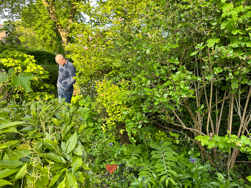 Een kijkje in de keuken week 21-2023