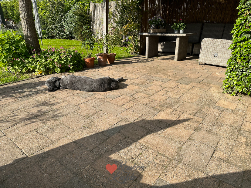 Een kijkje in de keuken week 21-2023