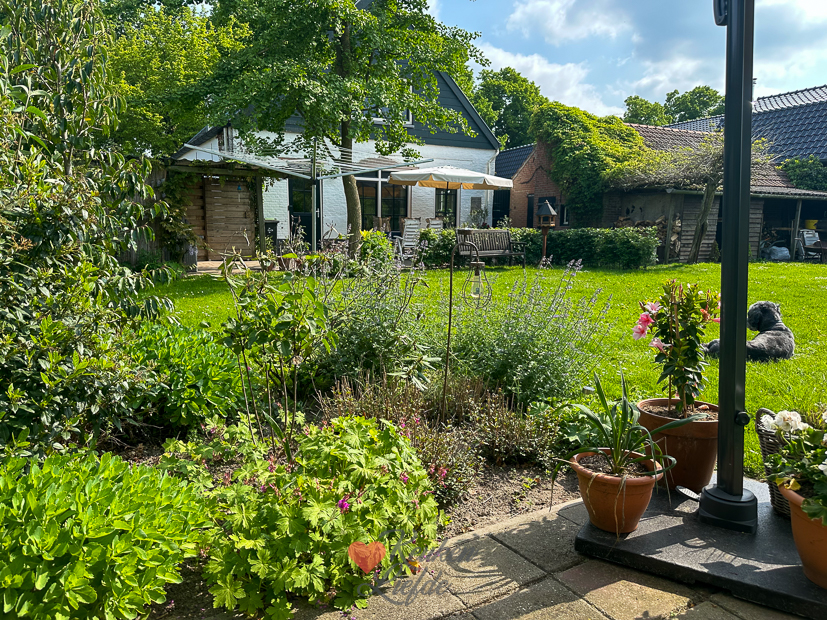 Een kijkje in de keuken week 21-2023