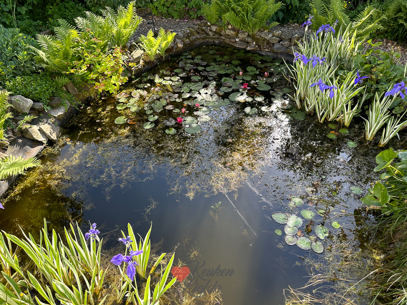 Een kijkje in de keuken week 23-2023