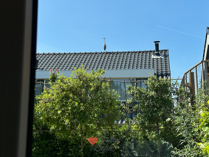 Een kijkje in de keuken week 23-2023