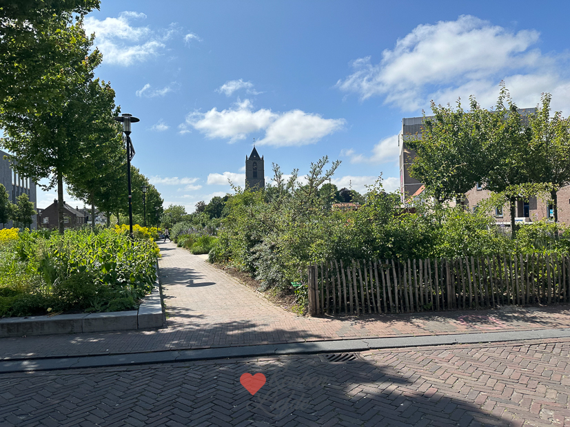 Een kijkje in de keuken week 23-2023