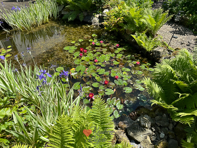 Een kijkje in de keuken week 23-2023