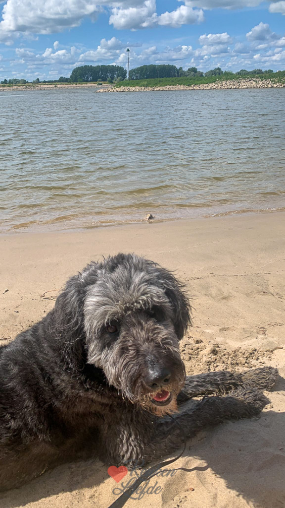 Een kijkje in de keuken week 26-2023