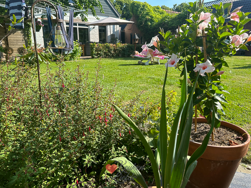 Een kijkje in de keuken week 26-2023