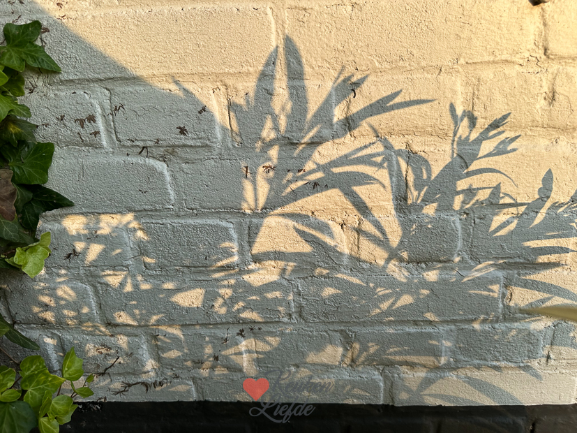 Een kijkje in de keuken week 26-2023