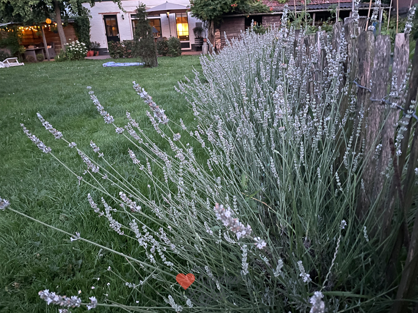 Een kijkje in de keuken week 28-2023