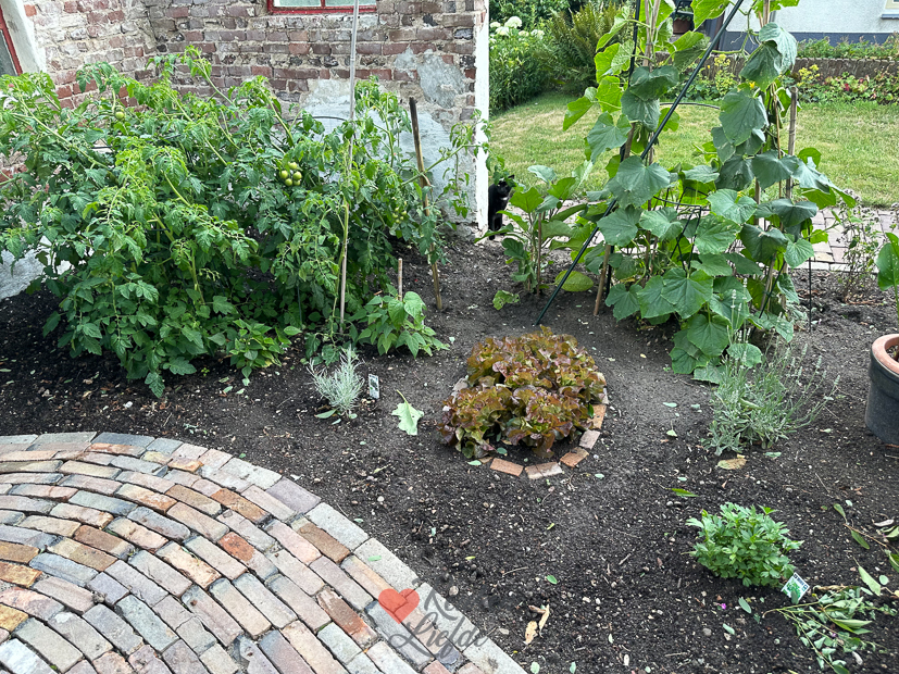 Een kijkje in de keuken week 28-2023