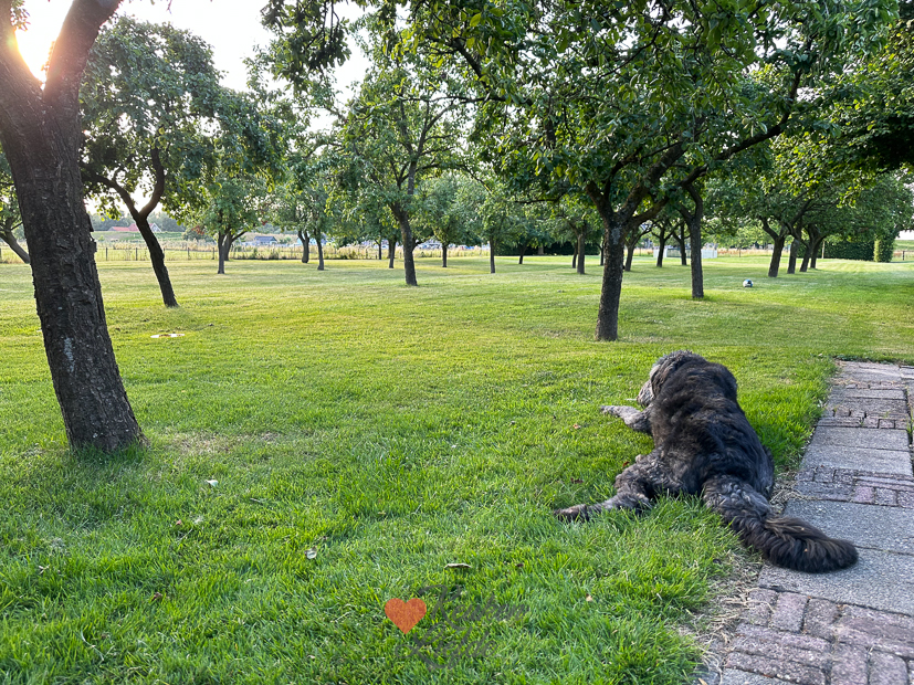 Een kijkje in de keuken week 28-2023