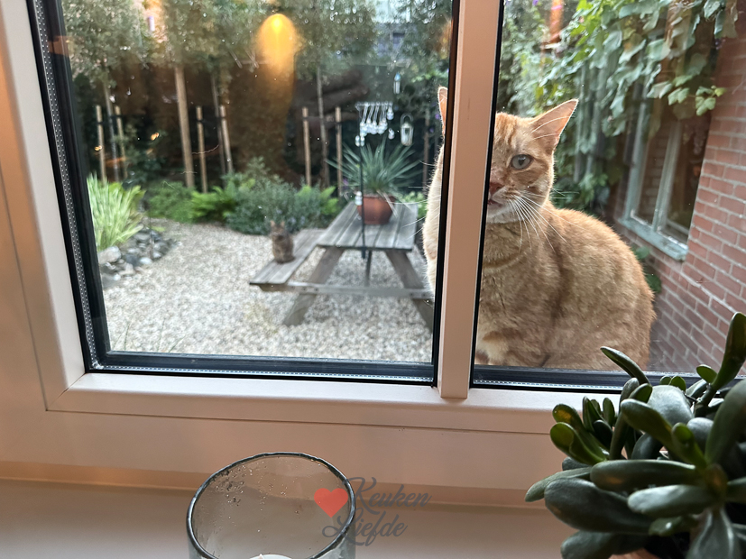 Een kijkje in de keuken week 35-2023